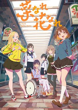 网站容重复影响优化seo率